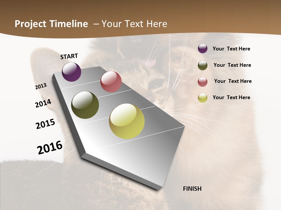 Dreaminess Cat Staring PowerPoint Template