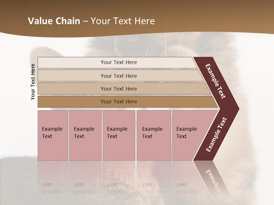 Dreaminess Cat Staring PowerPoint Template