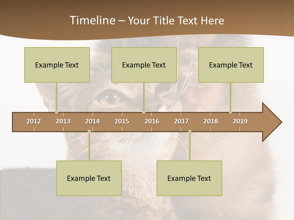 Dreaminess Cat Staring PowerPoint Template