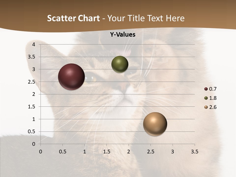 Dreaminess Cat Staring PowerPoint Template