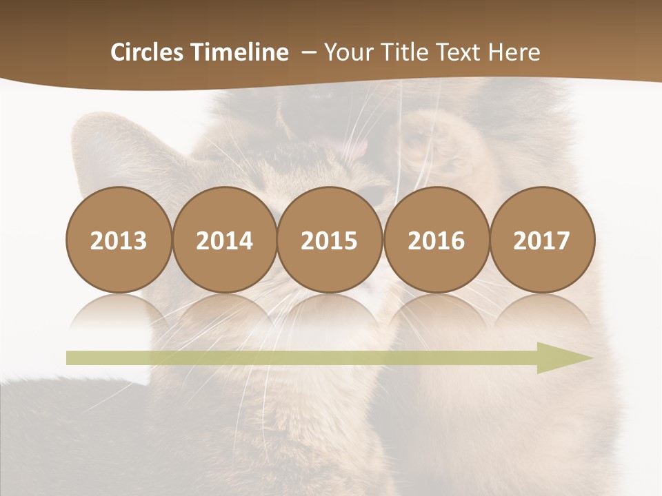 Dreaminess Cat Staring PowerPoint Template