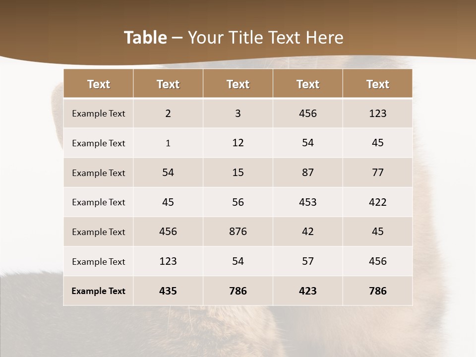 Dreaminess Cat Staring PowerPoint Template