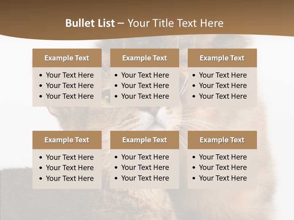 Dreaminess Cat Staring PowerPoint Template