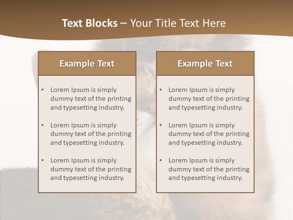 Dreaminess Cat Staring PowerPoint Template