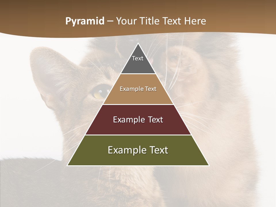 Dreaminess Cat Staring PowerPoint Template