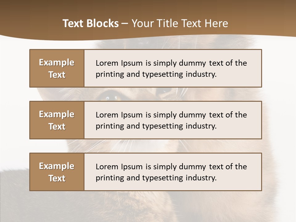 Dreaminess Cat Staring PowerPoint Template