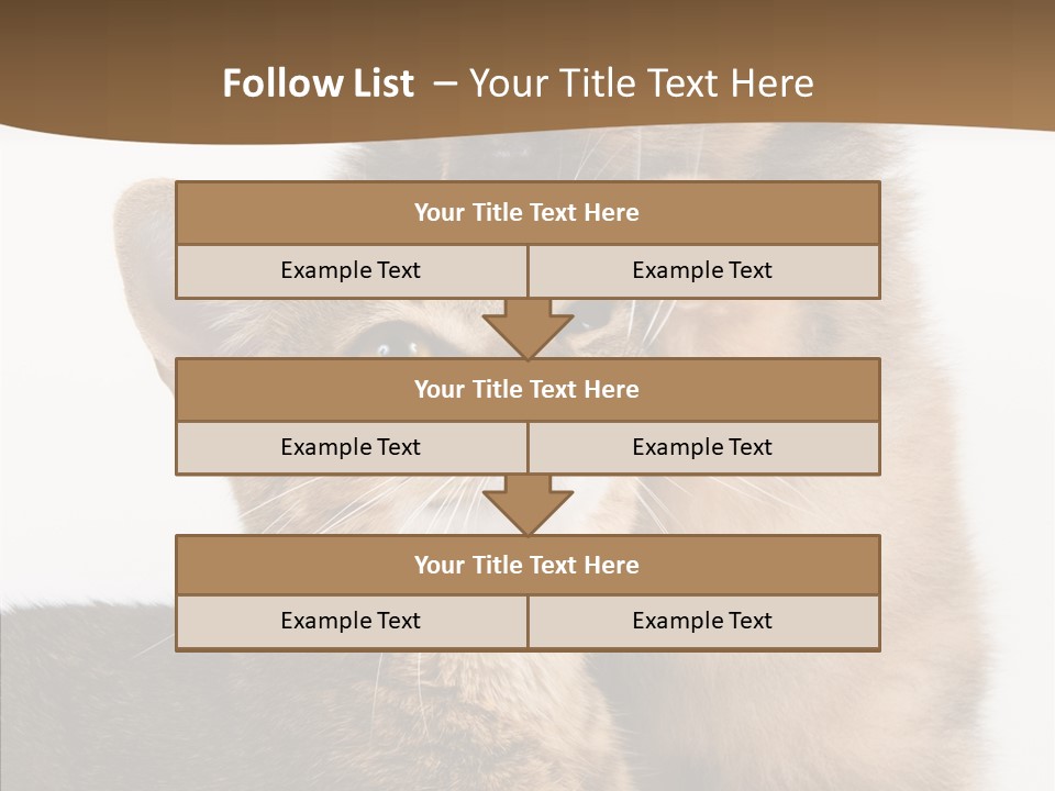 Dreaminess Cat Staring PowerPoint Template