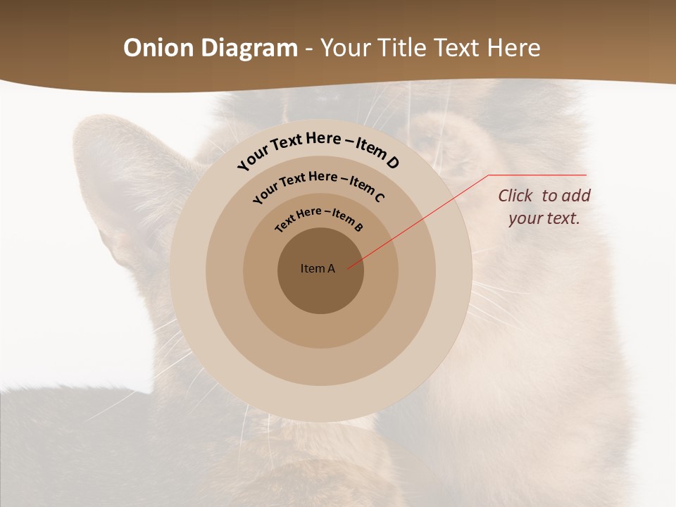 Dreaminess Cat Staring PowerPoint Template