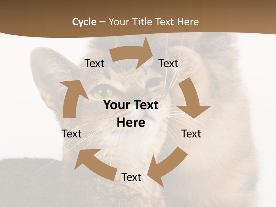 Dreaminess Cat Staring PowerPoint Template