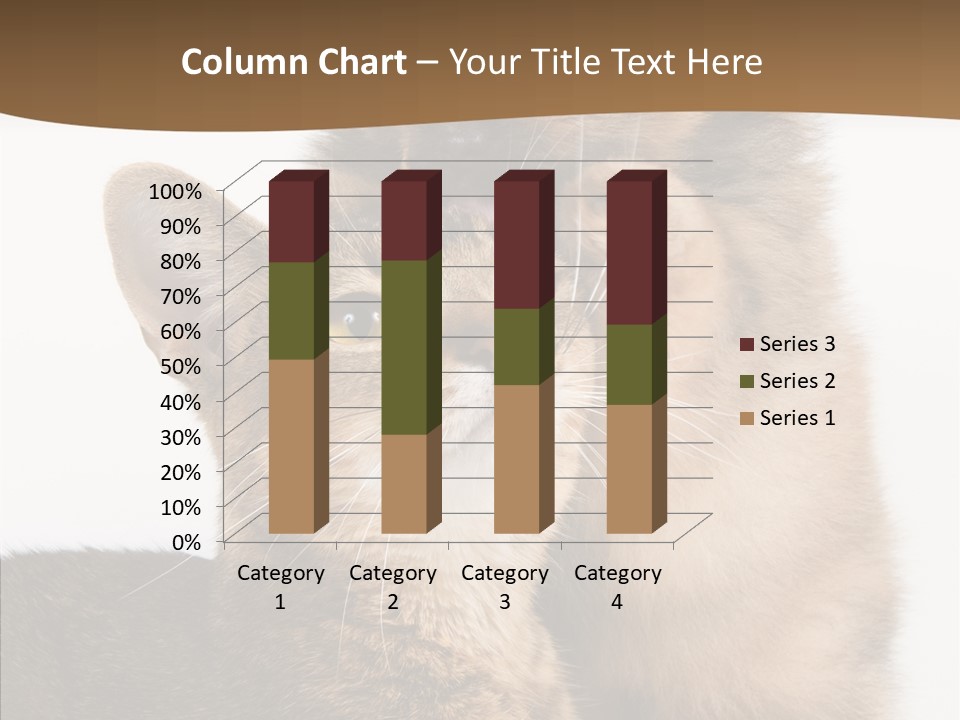 Dreaminess Cat Staring PowerPoint Template