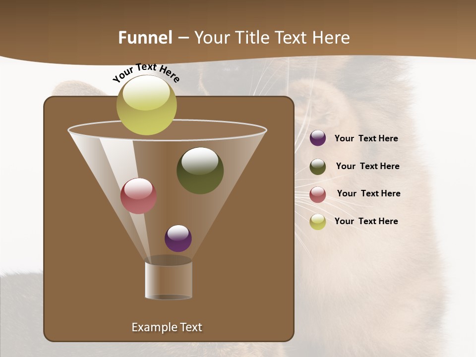 Dreaminess Cat Staring PowerPoint Template