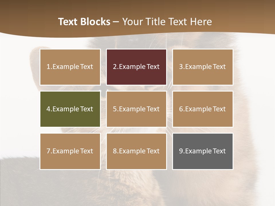 Dreaminess Cat Staring PowerPoint Template