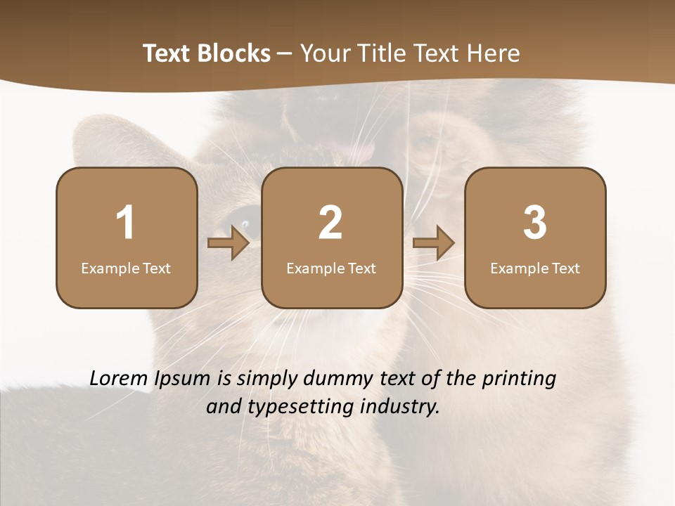 Dreaminess Cat Staring PowerPoint Template