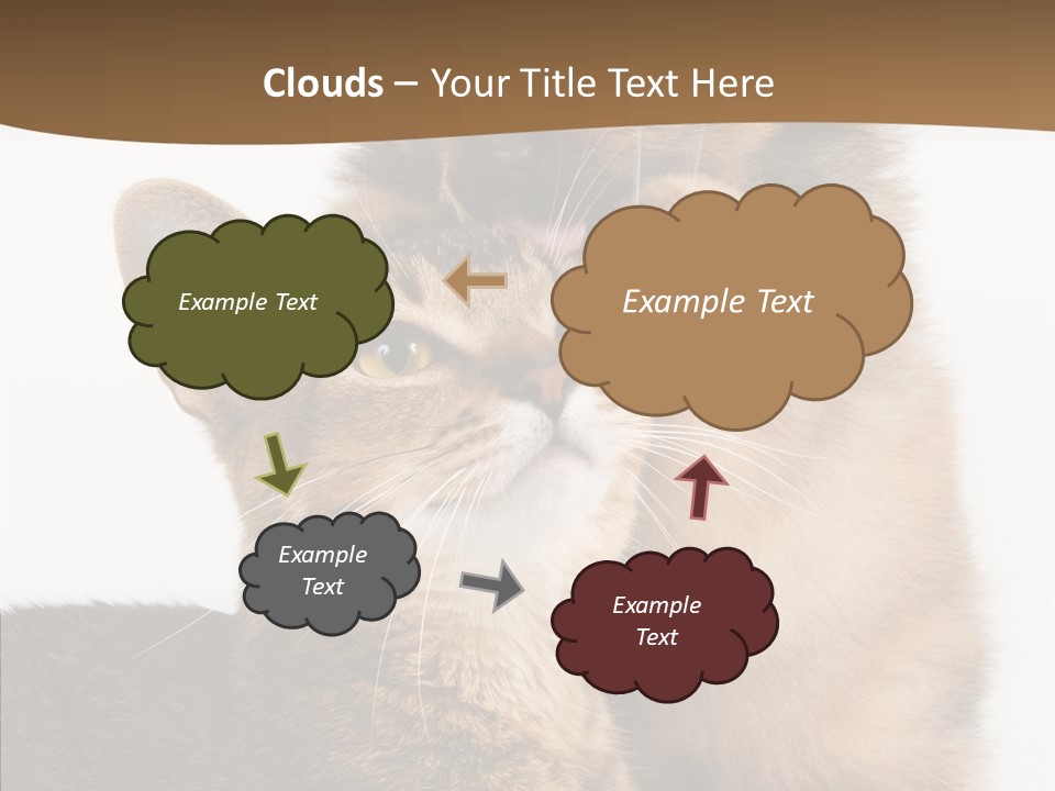 Dreaminess Cat Staring PowerPoint Template