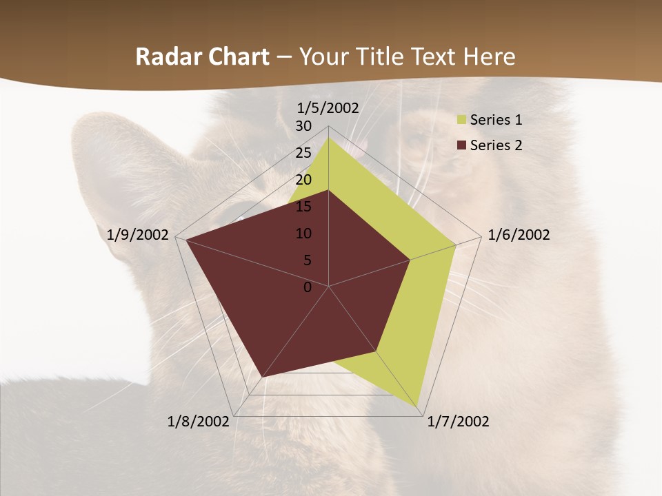 Dreaminess Cat Staring PowerPoint Template