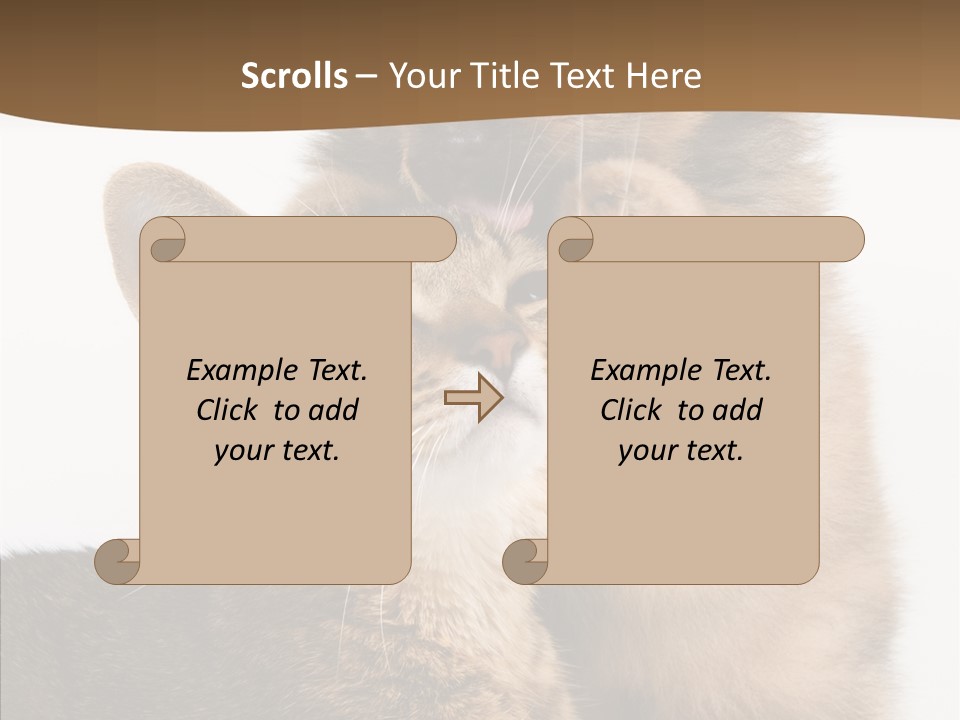 Dreaminess Cat Staring PowerPoint Template