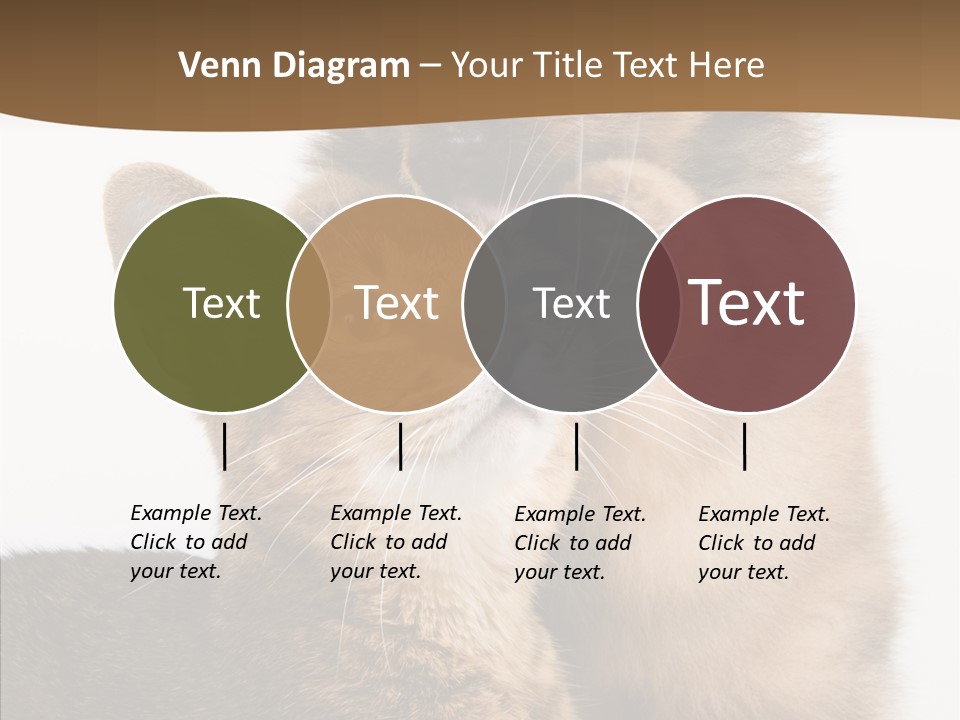 Dreaminess Cat Staring PowerPoint Template