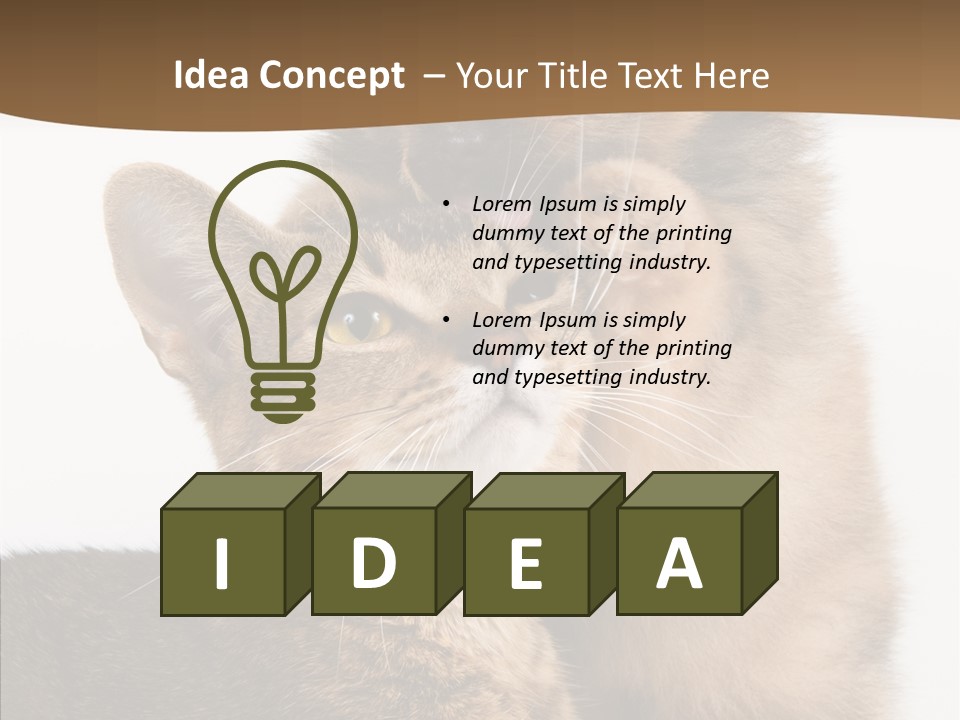 Dreaminess Cat Staring PowerPoint Template