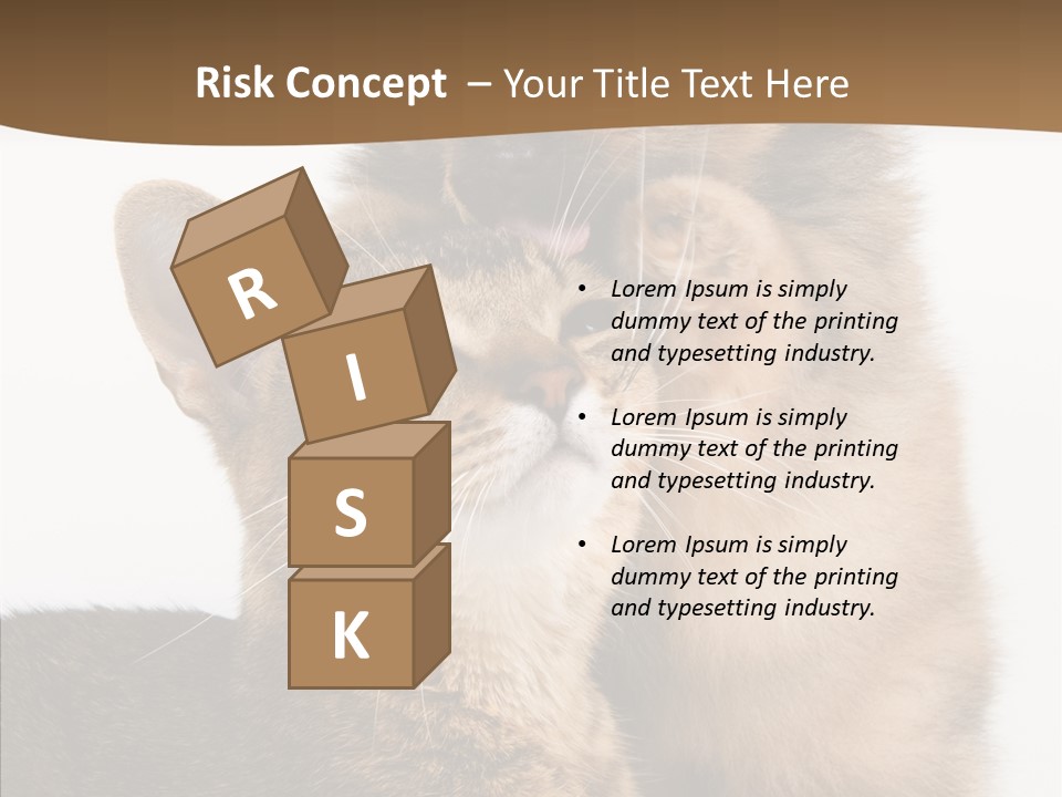 Dreaminess Cat Staring PowerPoint Template