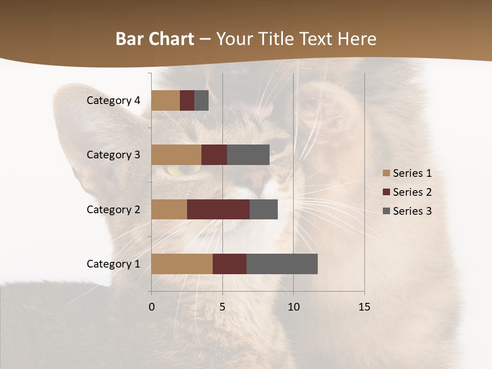 Dreaminess Cat Staring PowerPoint Template