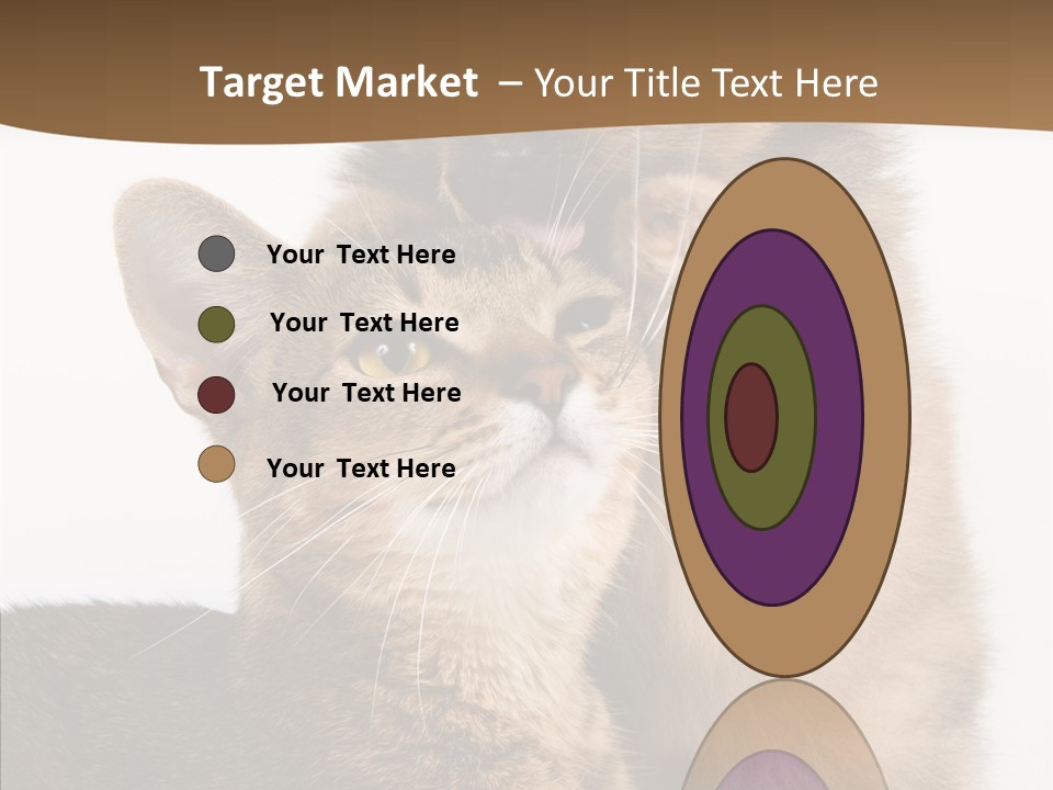 Dreaminess Cat Staring PowerPoint Template