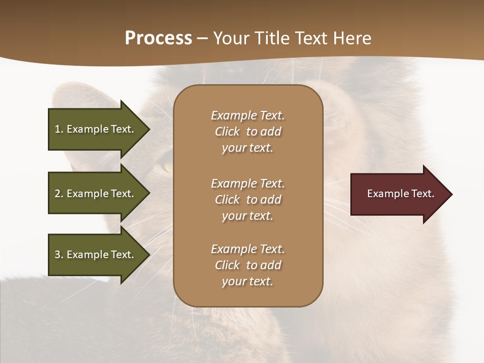 Dreaminess Cat Staring PowerPoint Template