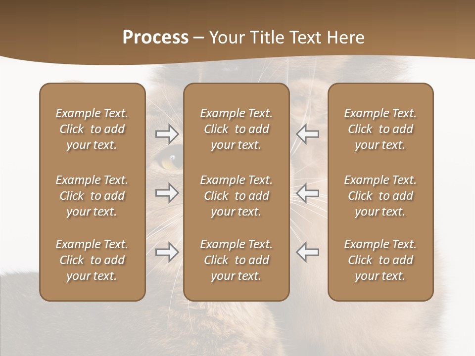 Dreaminess Cat Staring PowerPoint Template