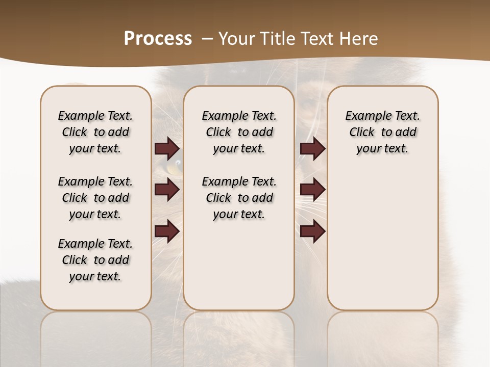 Dreaminess Cat Staring PowerPoint Template