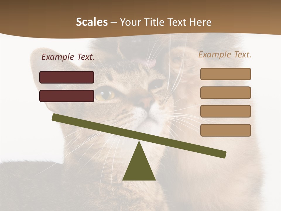 Dreaminess Cat Staring PowerPoint Template