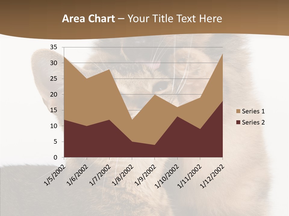 Dreaminess Cat Staring PowerPoint Template
