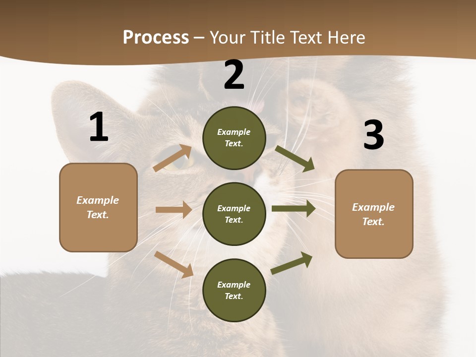 Dreaminess Cat Staring PowerPoint Template