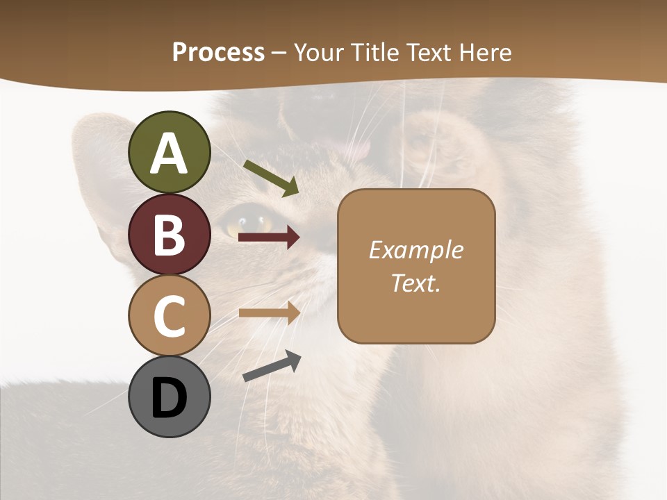 Dreaminess Cat Staring PowerPoint Template