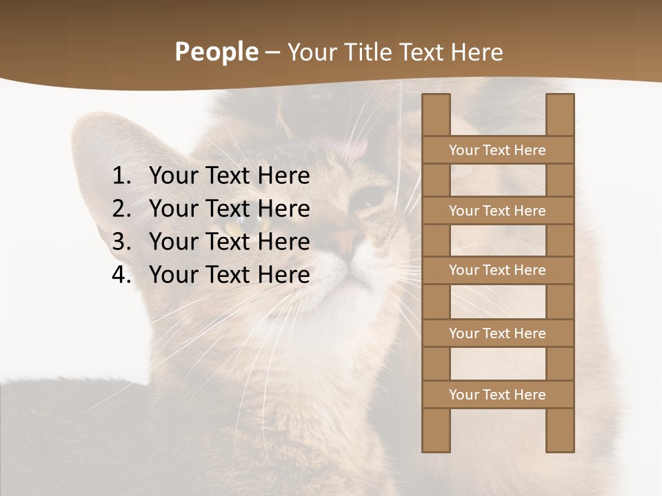 Dreaminess Cat Staring PowerPoint Template