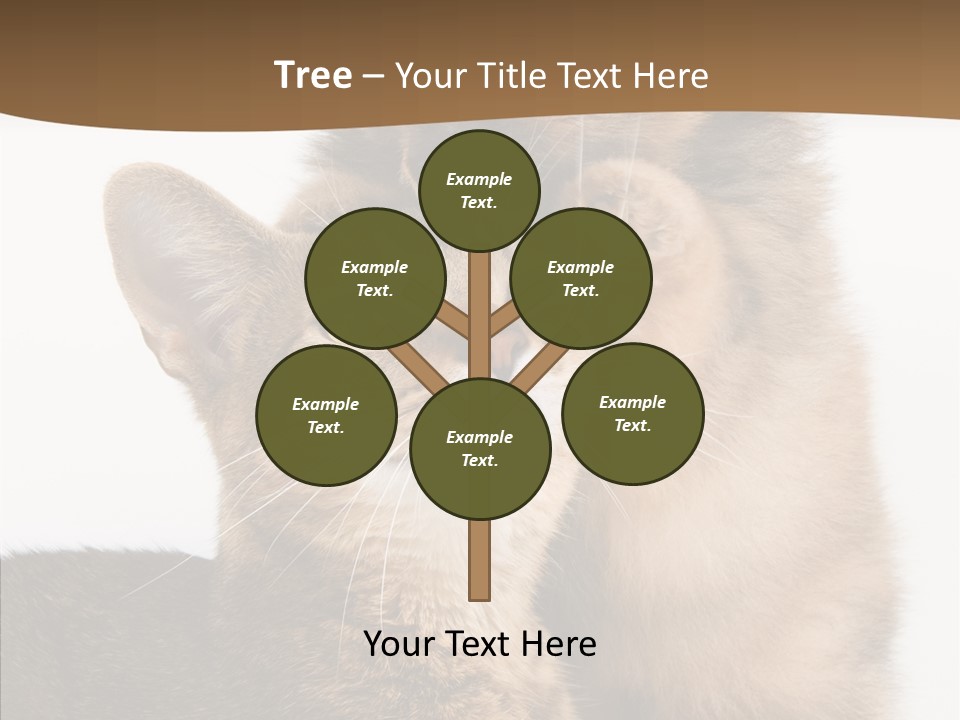 Dreaminess Cat Staring PowerPoint Template