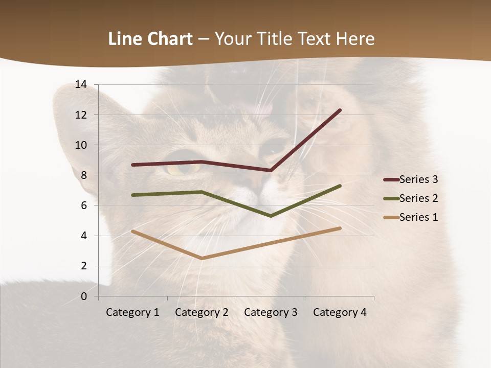 Dreaminess Cat Staring PowerPoint Template