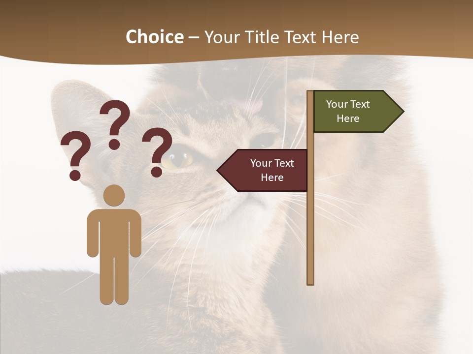 Dreaminess Cat Staring PowerPoint Template