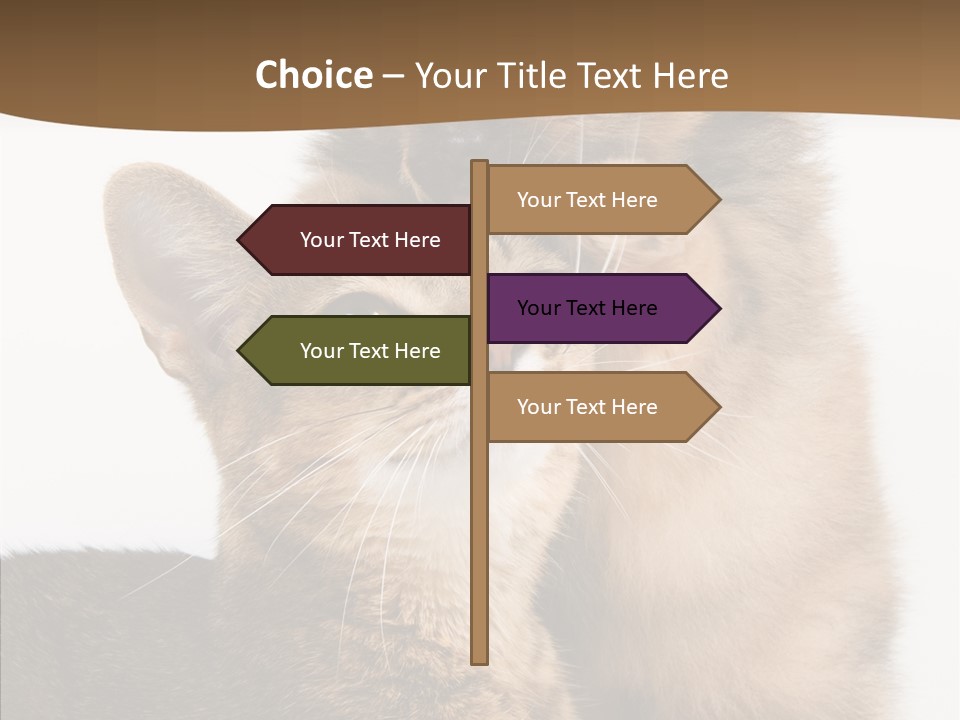 Dreaminess Cat Staring PowerPoint Template