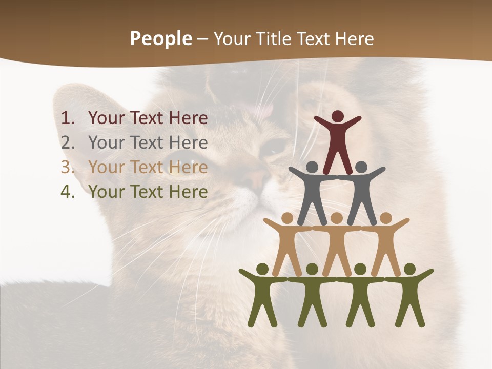 Dreaminess Cat Staring PowerPoint Template
