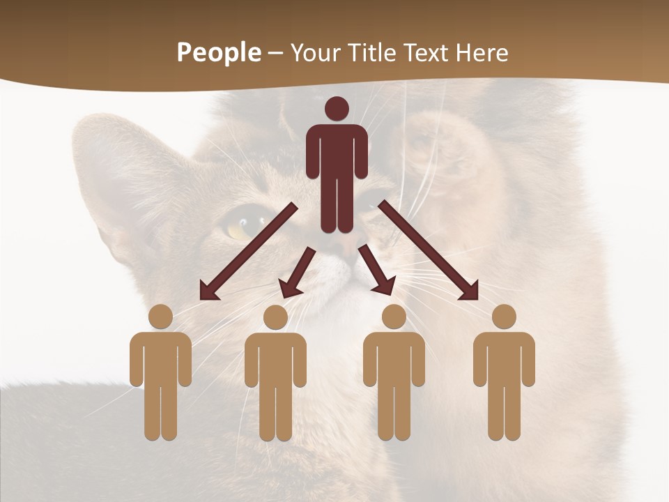 Dreaminess Cat Staring PowerPoint Template