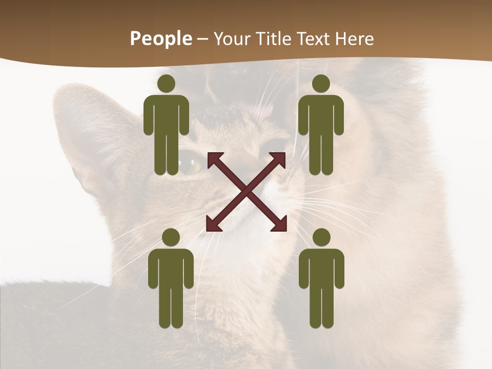 Dreaminess Cat Staring PowerPoint Template