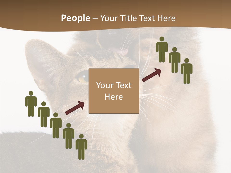 Dreaminess Cat Staring PowerPoint Template