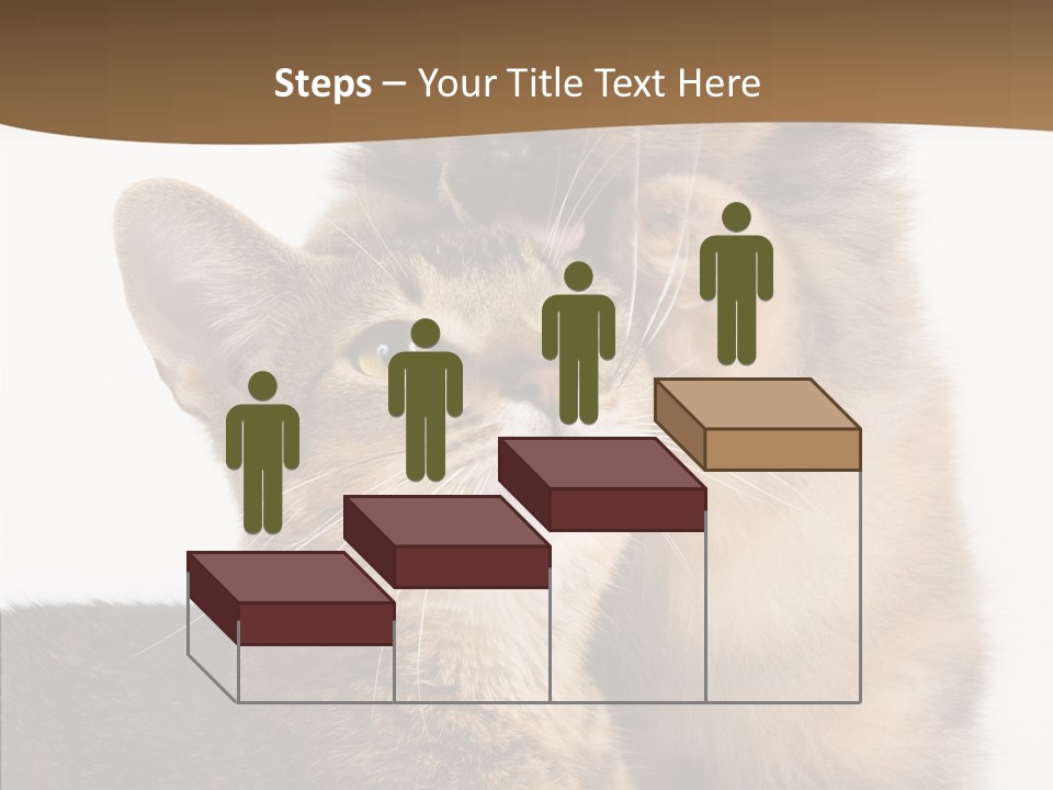 Dreaminess Cat Staring PowerPoint Template