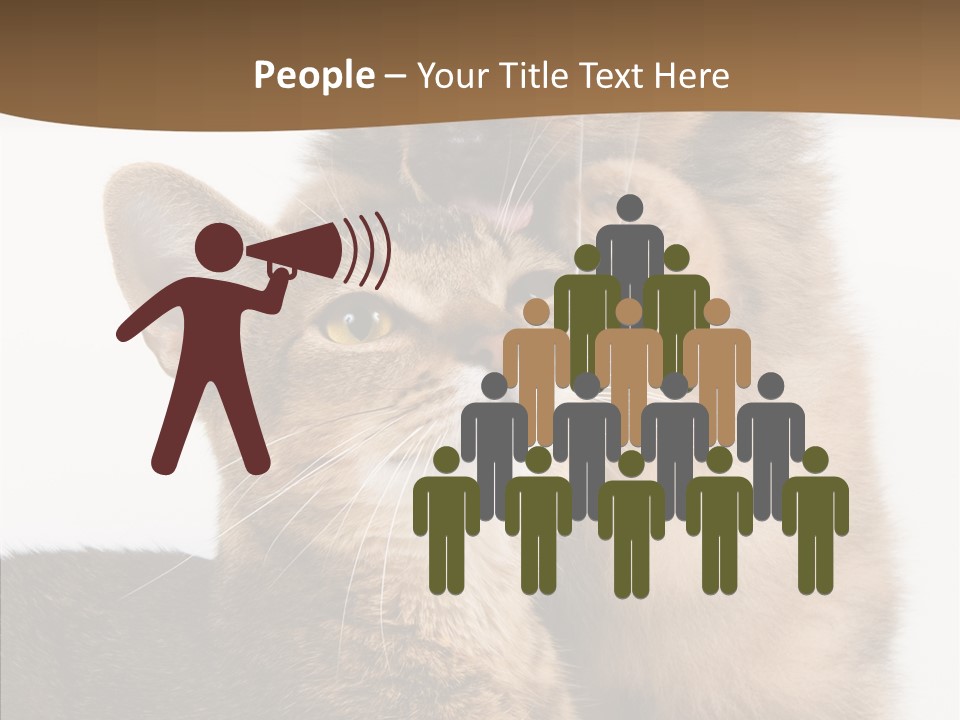 Dreaminess Cat Staring PowerPoint Template