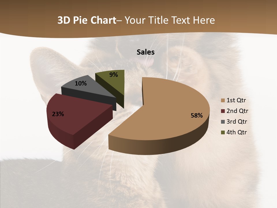 Dreaminess Cat Staring PowerPoint Template