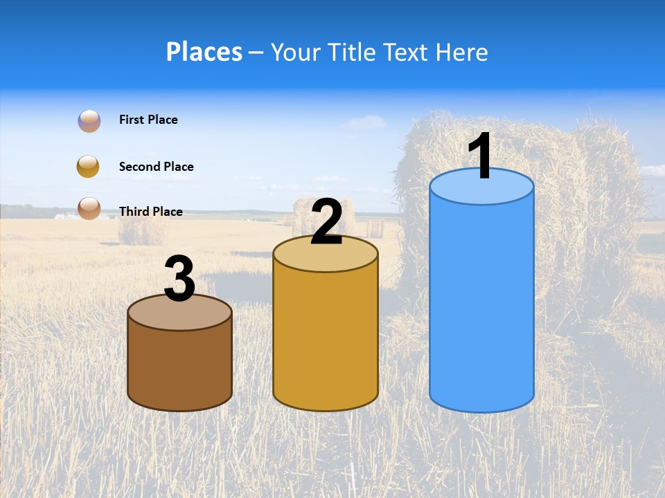 Season Wheat Blue PowerPoint Template