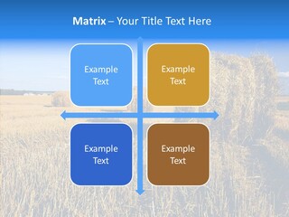 Season Wheat Blue PowerPoint Template