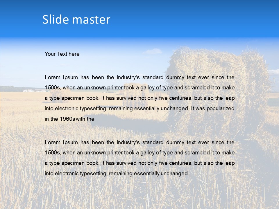 Season Wheat Blue PowerPoint Template