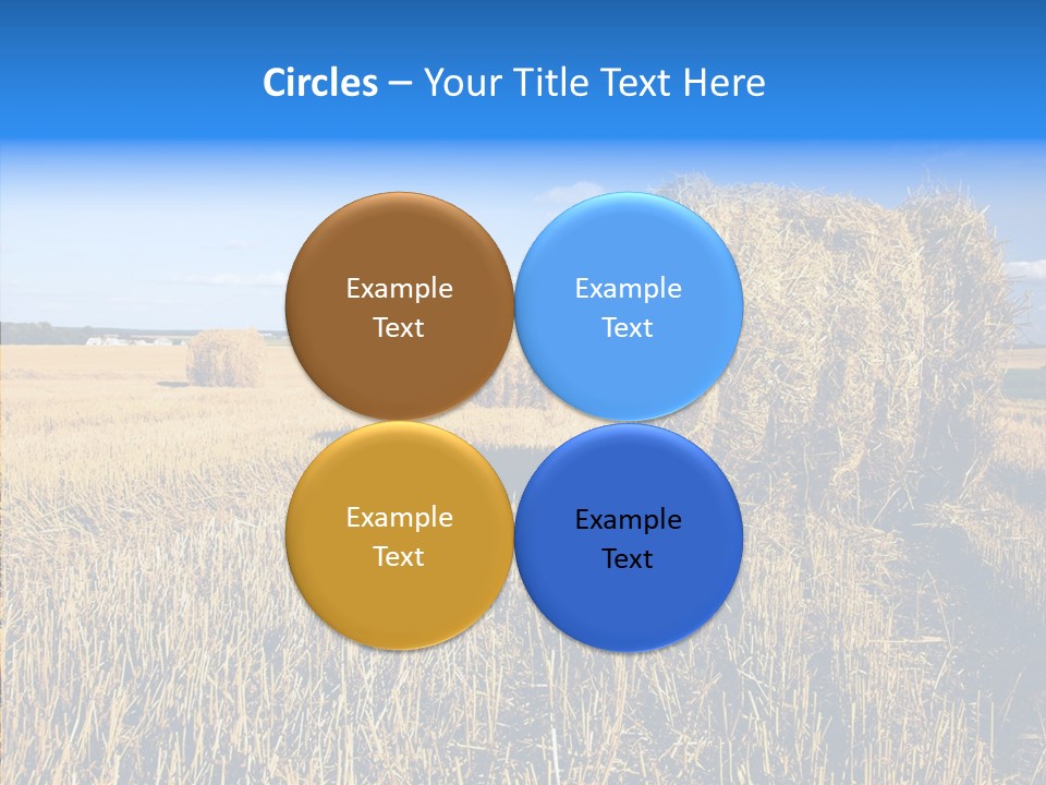 Season Wheat Blue PowerPoint Template