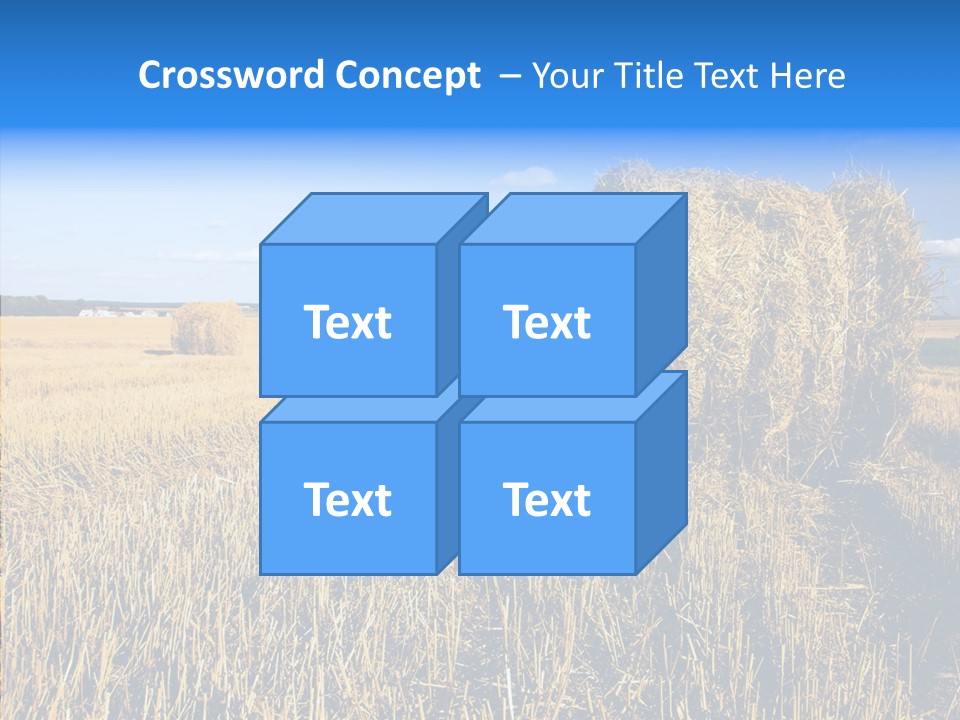 Season Wheat Blue PowerPoint Template