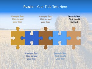 Season Wheat Blue PowerPoint Template